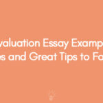 Evaluation Essay Example Types and Great Tips to Follow